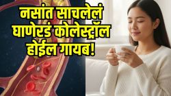 नसांत साचलेलं मेणासारखं चिकट कोलेस्ट्रॉल ३० दिवसांत बाहेर पडेल; फक्त ‘ही’ ८ सोपी कामं करा, मुळापासून निघेल घाणेरडं कोलेस्ट्रॉल