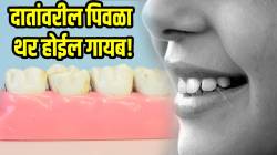 ‘या’ ३ गोष्टी दातांवरील पिवळा थर करतील मिनिटांत दूर; फायदे काय, कसा करायचा वापर; जाणून घ्या तज्ज्ञांकडून