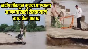 Rescuing a Bull Trapped Across the River with JCB