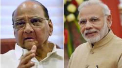 “मोदी माझे शिष्य? झोप झालीये ना तुमची?”; भर पत्रकार परिषदेत शरद पवारांचा पत्रकाराला प्रश्न