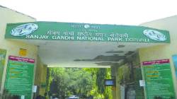 राष्ट्रीय उद्यानातील वनमजुरांनाही नोकरीचे सर्व लाभ मिळणार… उच्च न्यायालयाचा निर्णय