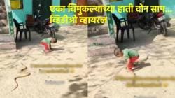 चिमुकल्याला घराबाहेर दिसले दोन साप, दोन्ही सापांना त्याने पकडले आणि… व्हायरल व्हिडीओ पाहून थक्क व्हाल