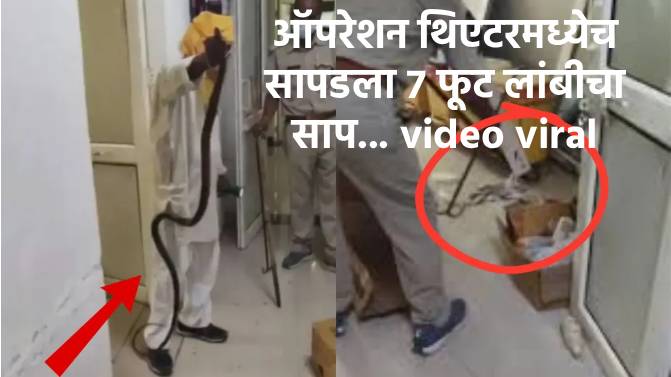 मेडिकल कॉलेजमध्ये सापडला ७ फूट लांबीचा साप