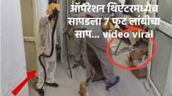 Viral video: मेडिकल कॉलेजमध्ये सापडला ७ फूट लांबीचा साप… पाहताच कर्मचाऱ्यांची उडाली तारांबळ