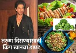 किंग खान शाहरूख आहारात आहेत ‘या’ ४ गोष्टी, म्हणूनच ५९व्या वर्षीही आहे निरोगी आणि तरूण…