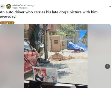 Viral Post auto driver keeps passed away just a month back dog photo in vehicle 