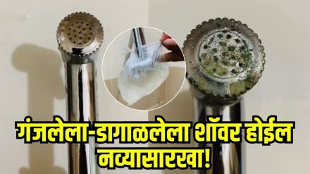 Home Remedies to Clean Shower