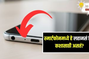 Smartphone Facts