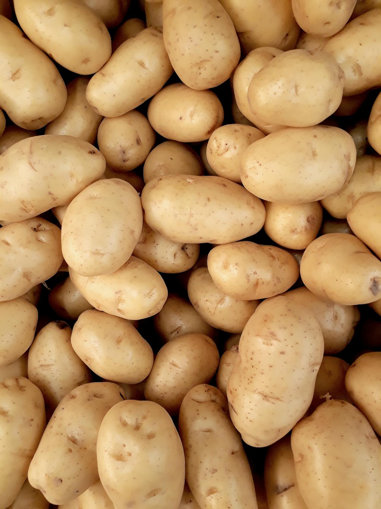 Sprouted Potatoes Are Harmful Read Details
