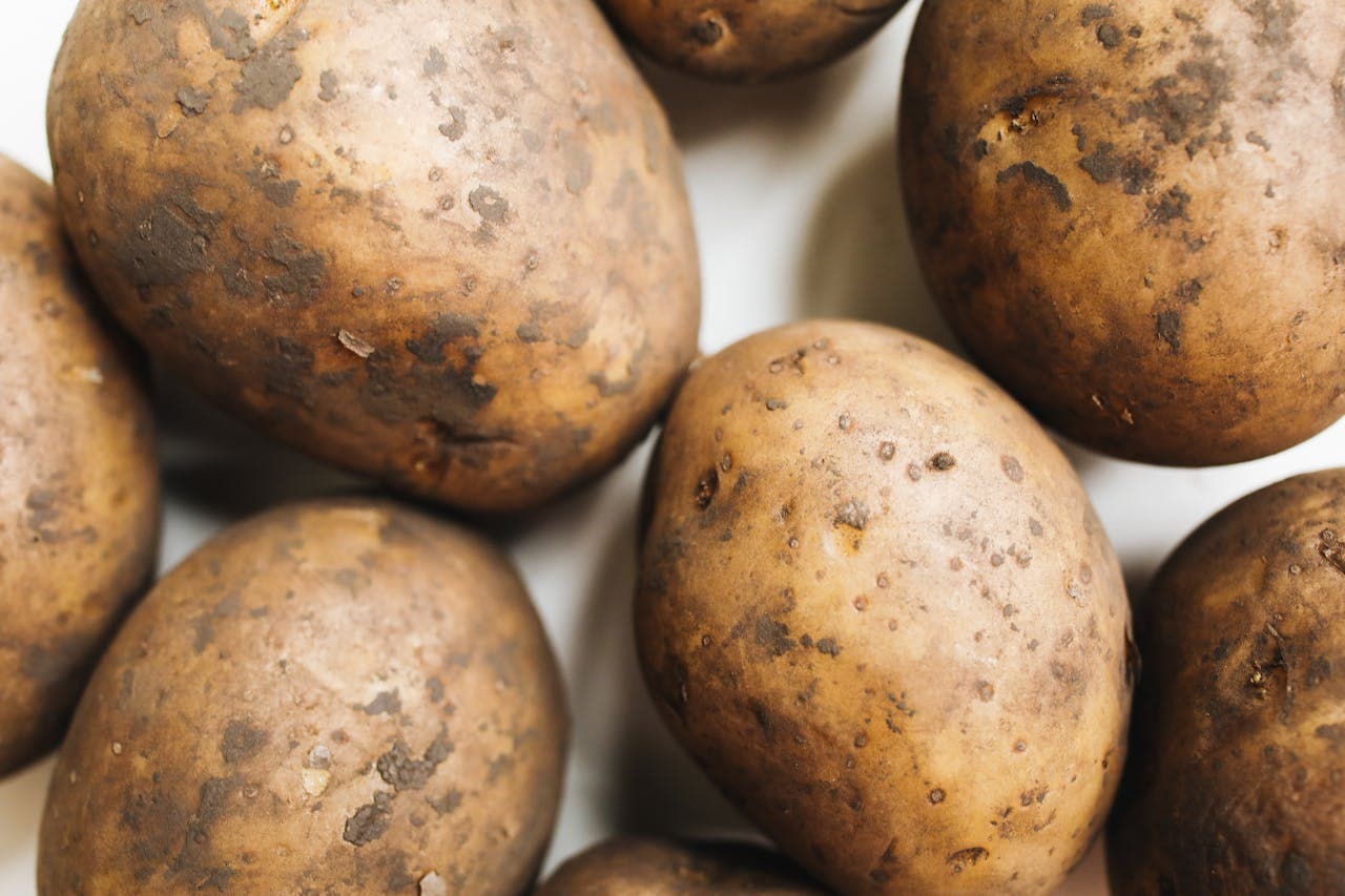 Sprouted Potatoes Are Harmful Read Details