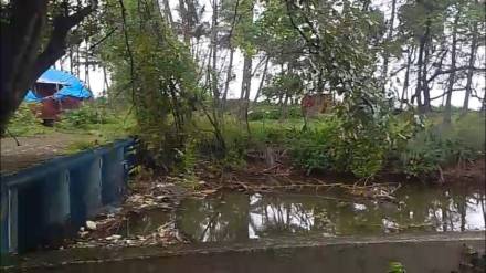 Actress Suhana Khan's land purchase in Alibaug is in dispute