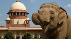 “…तर त्यात चूक काय?” सर्वोच्च न्यायालयाचा ‘वनतारा’बाबत मोठा निर्णय