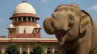 Supreme Court clean chit to Vantara