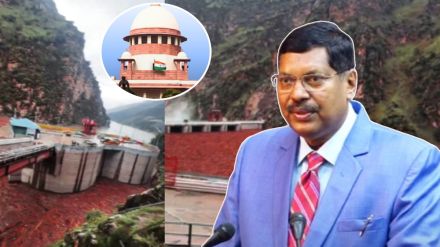 Supreme Court on viral timber log videos in Himachal Pradesh