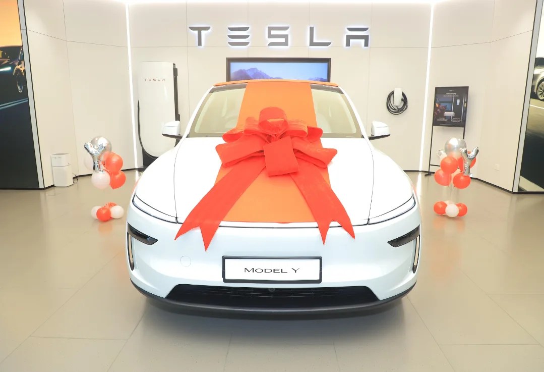 Tesla india, Tesla Model Y, Tesla Model Y first delivery Pratap sarnaik