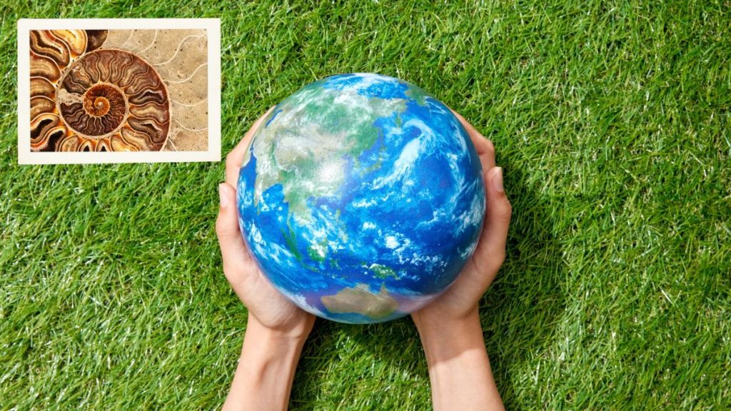 The sixth mass extinction on Earth has not yet begun recent study reveals