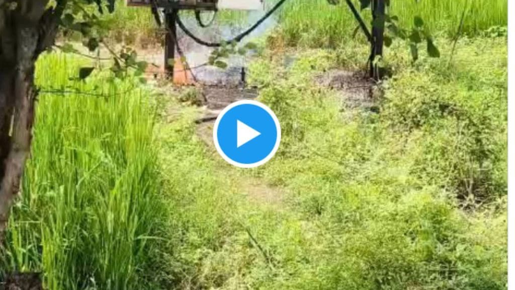 Three transformers burnt in Bhandara Khairi village farmers left without irrigation for 15 days MSEDCL