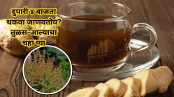 रोज दुपारी ४ वाजता थकवा जाणवतोय? तुळस-आल्याचा चहा प्या अन् मिळवा नैसर्गिक ऊर्जा!