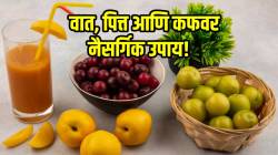 वात, पित्त आणि कफाचा त्रास कायमचा जाईल; फक्त रोज सकाळी ‘हे’ एक फळ खा; परिणाम पाहून थक्क व्हाल
