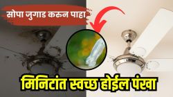 पंखा सुरू करण्याआधी प्लास्टिकच्या बाटलीचा ‘हा’ सोपा जुगाड करून पाहा; मिनिटांत दिसेल तुमचा पंखा नव्यासारखा, त्रास अन् पैसे वाचवा