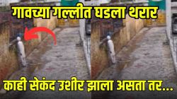 Video: काळ आला होता पण…! गावच्या गल्लीत काका भिंतीच्या पलीकडे काय आहे, हे पाहण्यासाठी गेले अन् चमत्कार झाला, काही सेकंदांतच…