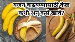 वजन वाढवायचे आहे? केळ खाल्यास मिळतील हे आश्चर्यकारक फायदे, कधी आणि कसे खाल्ले पाहिजे? जाणून घ्या