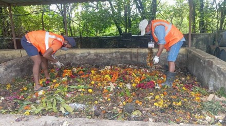 Fertilization process begins with five and a half tons of Nirmala collected during Ganeshotsav 2025