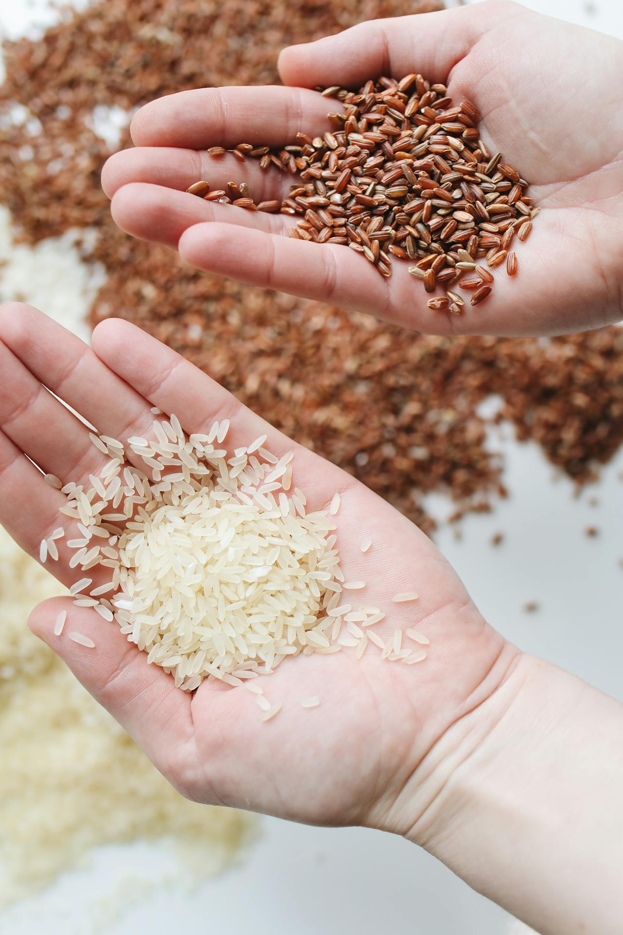 Which Rice Is Better For Weight Loss