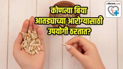 आतड्यांचे आरोग्य सुधारण्यासाठी ‘या’ ३ बिया करतील जादू; अनेक आजारांपासून सुटका, तर झटक्यात बाहेर पडेल शरीरातील घाण
