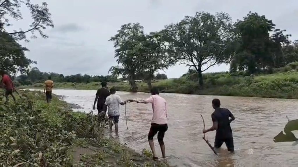 Yavatmal heavy rainfall, Yavatmal yellow alert, Kharif crop damage Yavatmal, Maharashtra flood warning,