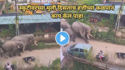 अगं बाई! स्कुटीवरच्या मुली दिसताच हत्तींच्या कळपानं काय केलं पाहा; Video पाहून तुम्हीही पोट धरुन हसाल