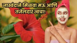 जास्वंदाबरोबर फक्त या ३ घरगुती गोष्टी वापरून बनवा खास फेस पॅक; त्वचा होईल मुलायम, उजळ व तजेलदार