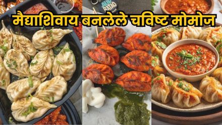 Healthy momos made without maida using wheat flour and vegetables