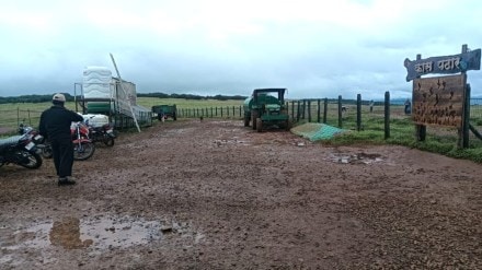 Kas plateau flowers, Satara tourist vehicles, electric tourist transport, Kumudini Lake tour,