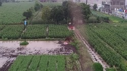 मराठवाड्यात पावसाचा जोर, भूममध्ये महिला वाहून गेली; जालन्यात ढगफुटीसदृश्य, मांजरा, सिंदफणाचे दरवाजे उघडले