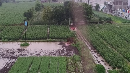 flooding in Marathwada, Chhatrapati Sambhajinagar rain update, Marathwada heavy rainfall,
