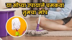 जुना मॉप काही मिनिटांतच होईल नव्यासारखा; घरातल्या या एका गोष्टीनं होईल कमाल; कशी ते पाहाच