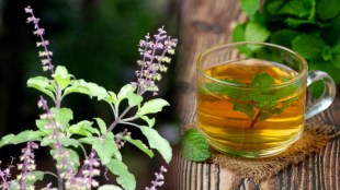 Tulsi Water