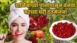 दात कधीच किडणार नाही, पिवळेही होणार नाहीत; डाळिंबाच्या पानांपासून बनवा घरगुती दंतमंजन, जाणून घ्या घरच्या घरी बनवण्याची सोपी पद्धत