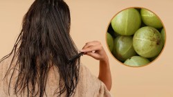 Side Effects of Amla: आवळा केसांसाठी वरदान की संकट? चुकीच्या वापरामुळे होऊ शकतात ‘हे’ दुष्परिणाम