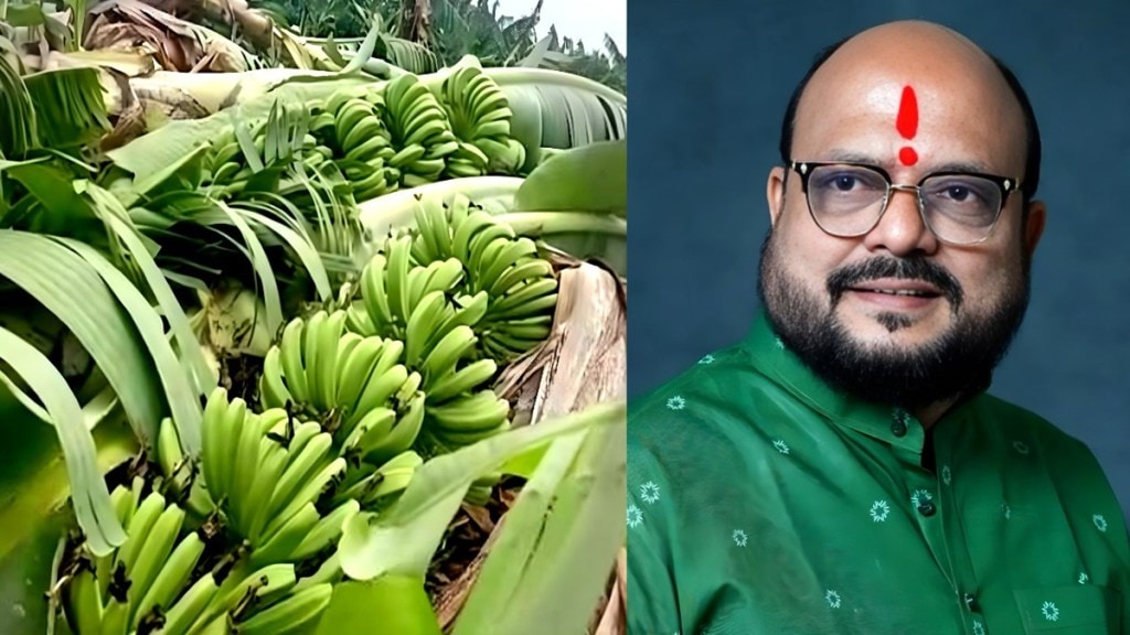 Gulabrao Patil Jalgaon, banana crop insurance Jalgaon, fruit crop insurance claim delay,