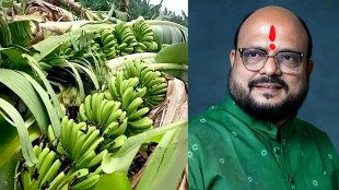 Gulabrao Patil Jalgaon, banana crop insurance Jalgaon, fruit crop insurance claim delay,