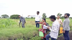 पुरंदर विमानतळासाठी जमीनमोजणीला सुरुवात, पहिल्या दिवशी तीन गावांतील ५० हेक्टर क्षेत्रफळाची मोजणी
