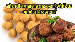 सोयाबीनपासून नाश्त्यात बनवा ‘हे’ २ चटपटीत पदार्थ; चव आणि ताकद दोन्ही भरपूर मिळेल
