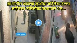 VIDEO: अंगावर आली धावून, शिंगाने आपटलं अन्… भटक्या म्हशीने महिलेवर केलेला हल्ला पाहून तुम्हीही व्हाल थक्क