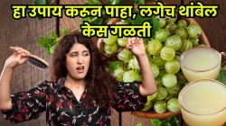 सतत केस गळत आहेत? ‘हा’ छोटासा घरगुती उपाय वापरून पाहा, काही दिवसांतच चमकतील तुमचे केस!
