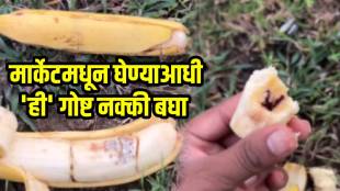 Which banana is the original