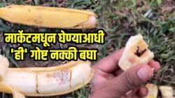 केळी ओरिजनल आहे की डुप्लिकेट कसे ओळखाल? फसवणूक टाळा अन् मार्केटमधून घेण्याआधी ‘ही’ गोष्ट नक्की बघा