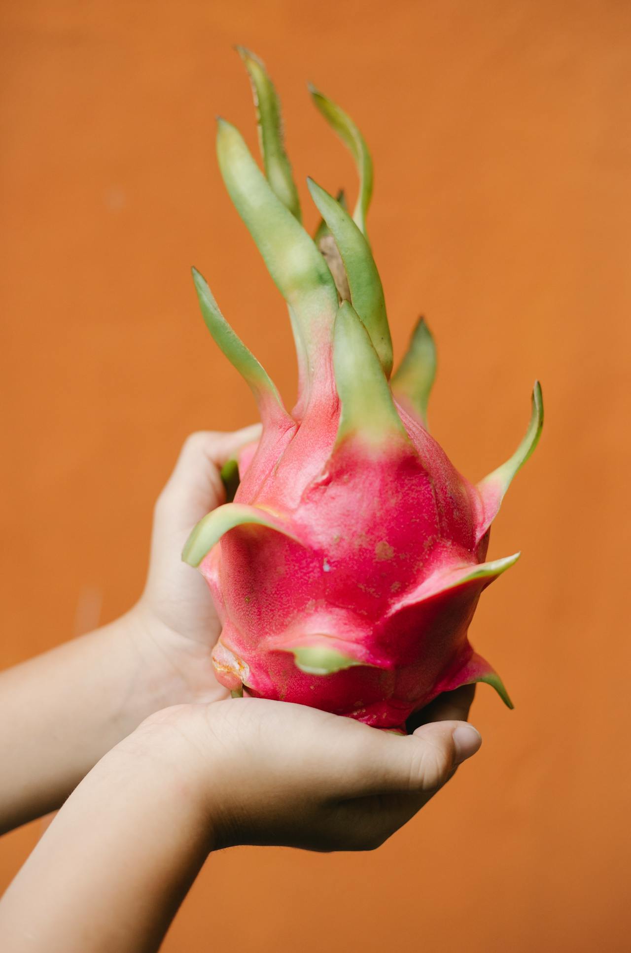 White And Pink Dragon Fruit Health Benefits