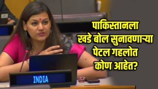 Who is Petel Gehlot